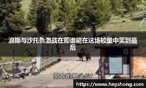 bsports官网入口