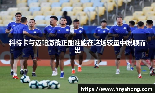 bsports官网入口