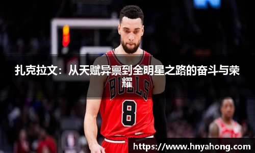 B体育bsports